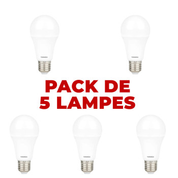 PACK DE 5 LAMPES TORNADO 9W...