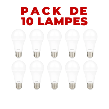 PACK DE 10 LAMPES TORNADO...