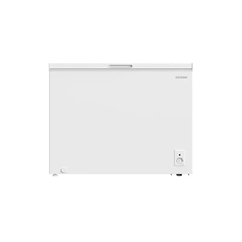 Congélateur horizontal NEWSTAR 300L De Frost Blanc