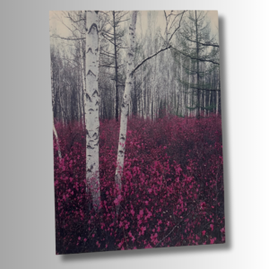 Tableau Foret Mauve 60 x 40 cm imprimé sur Toile Textile Haute qualité