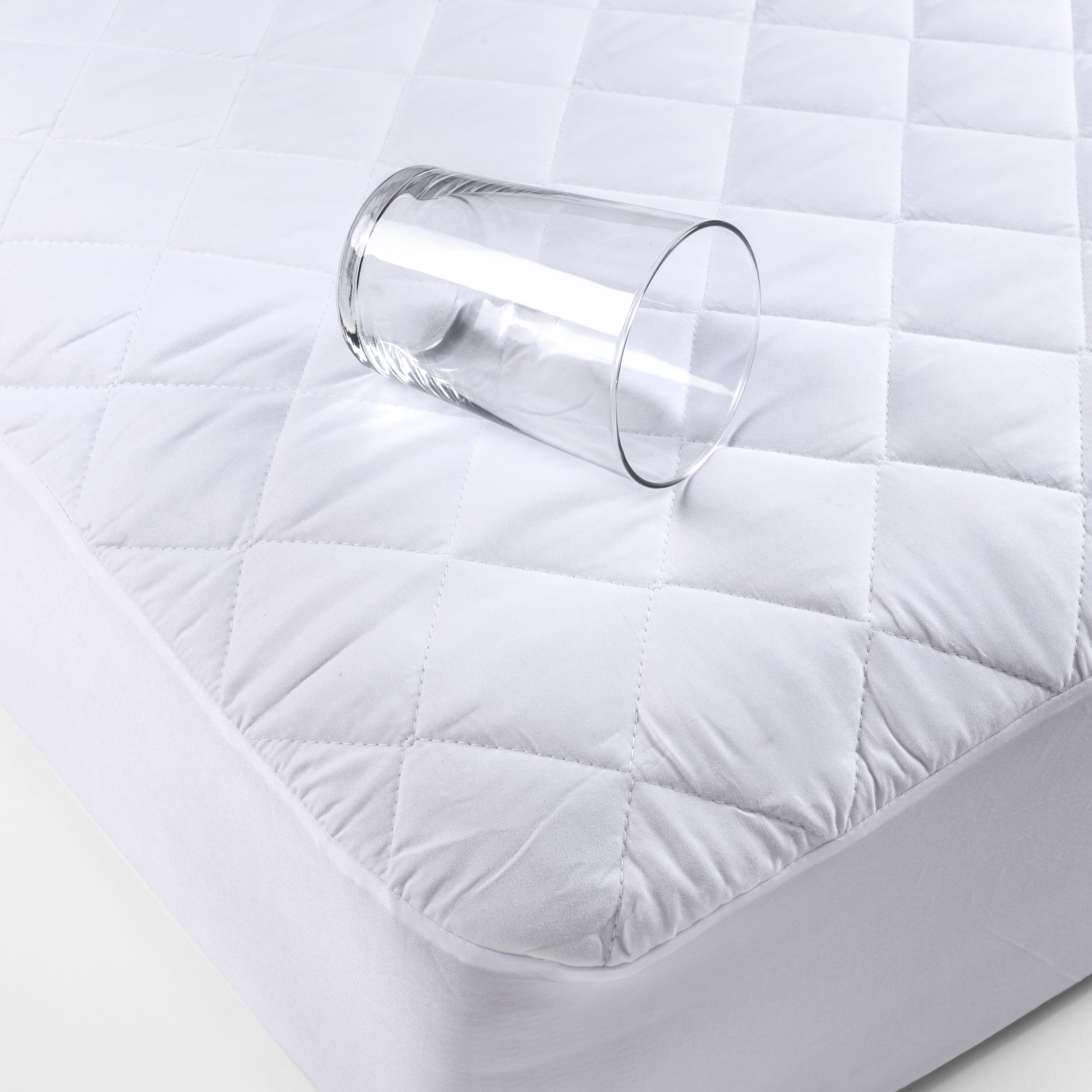 tinywow_PA21_03_74403759