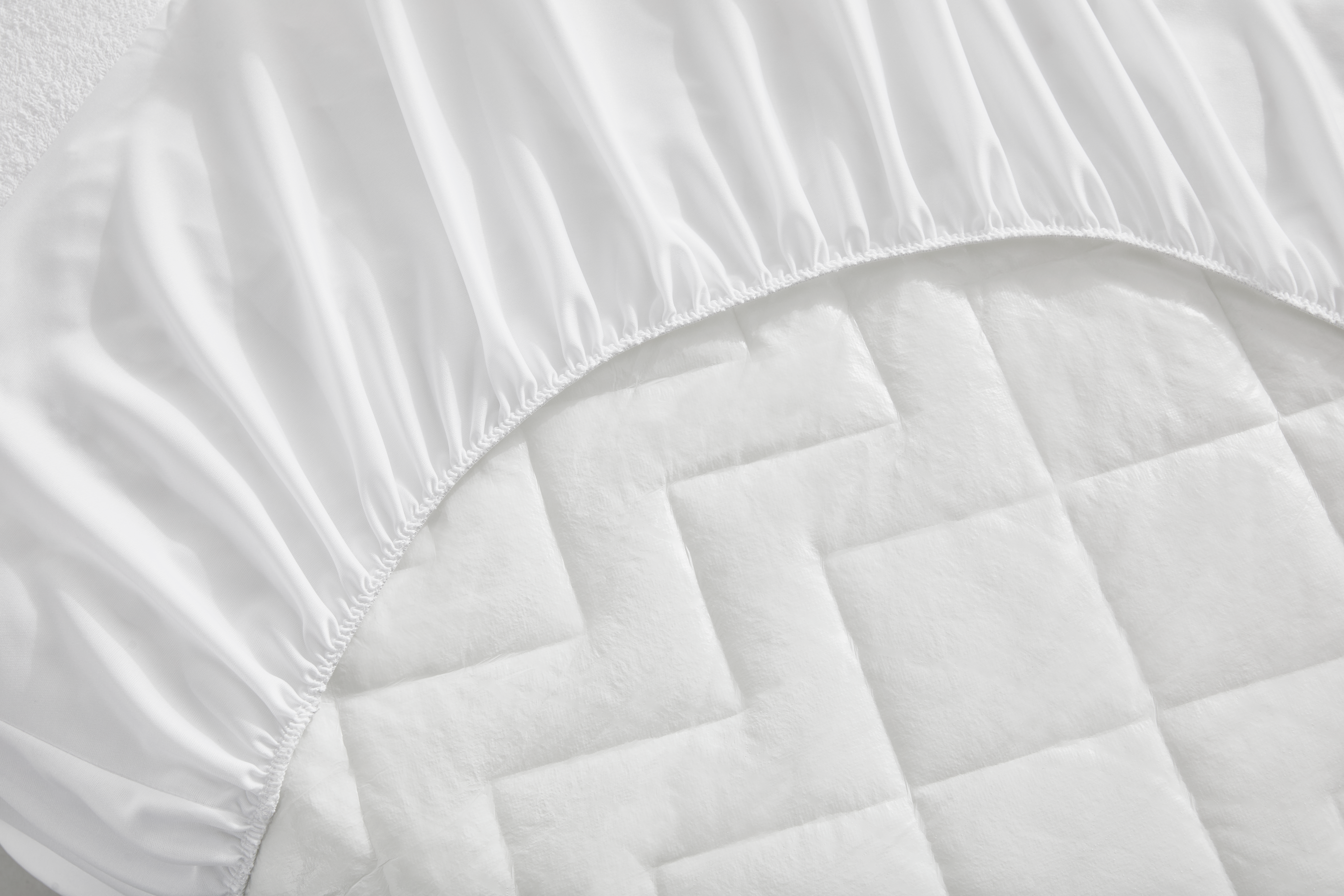 tinywow_PA29_reverso_74400451