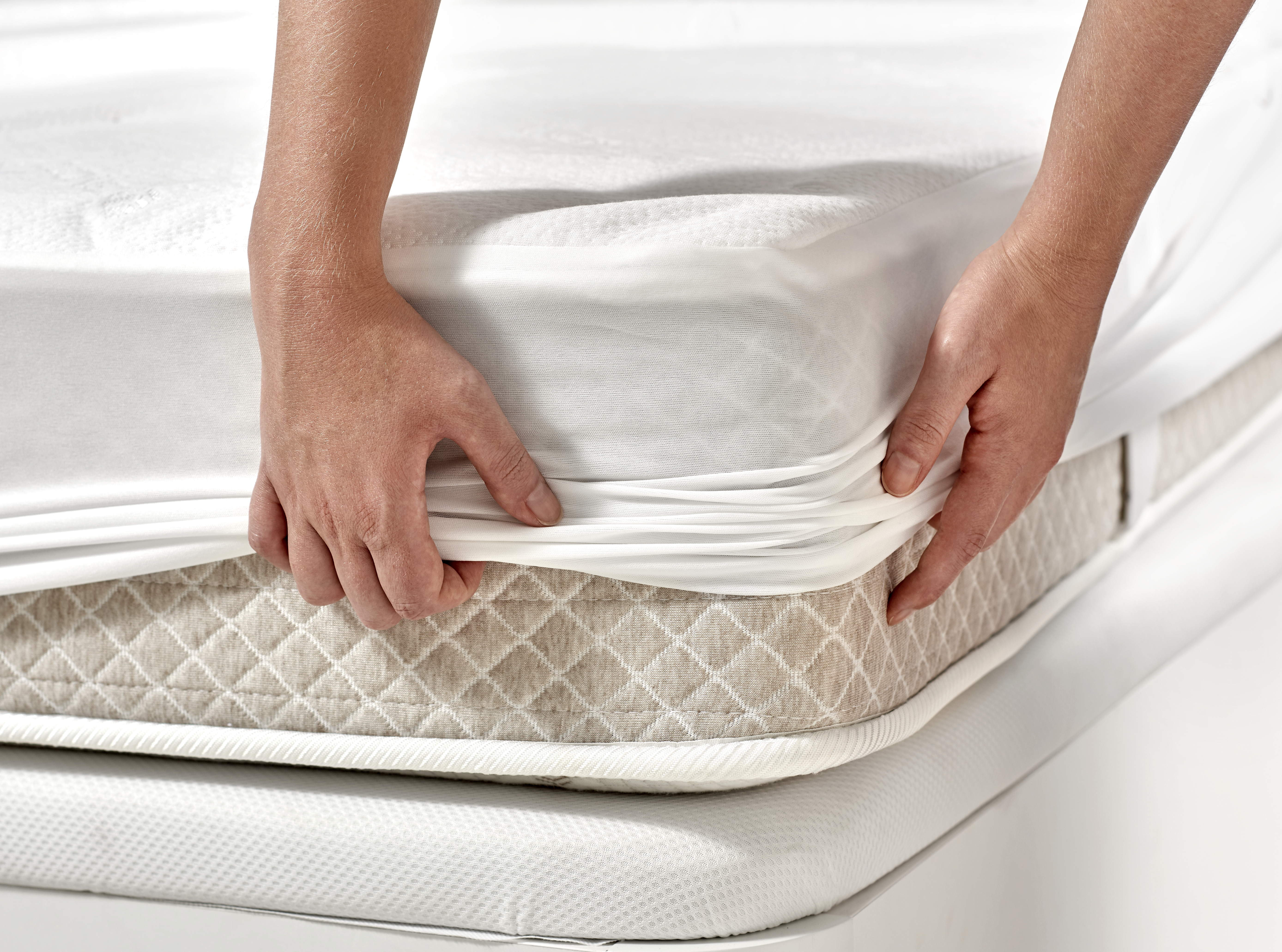 tinywow_PP20_MANO_74465077