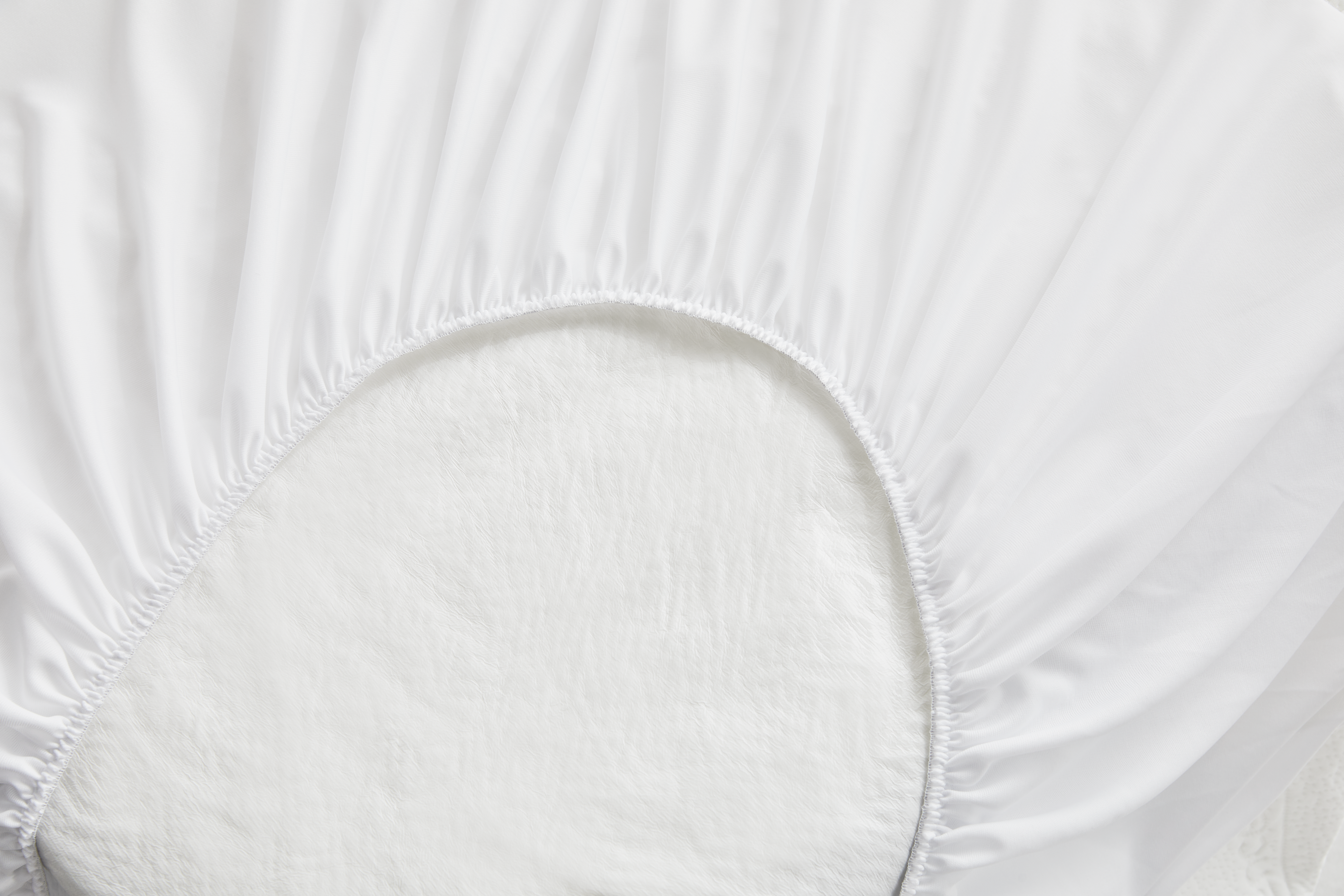 tinywow_PP20_reverso_74465077