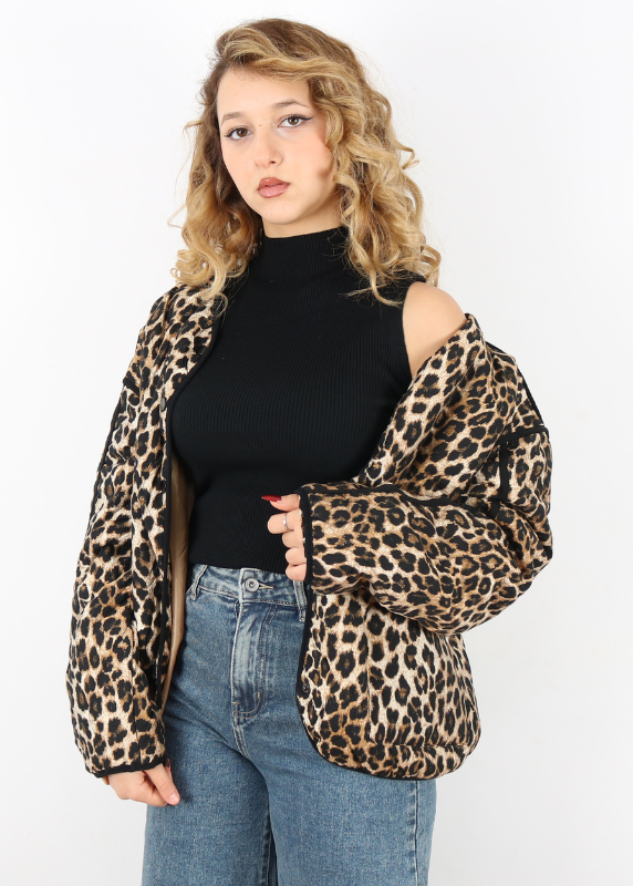 300553-leopard-vog (2)