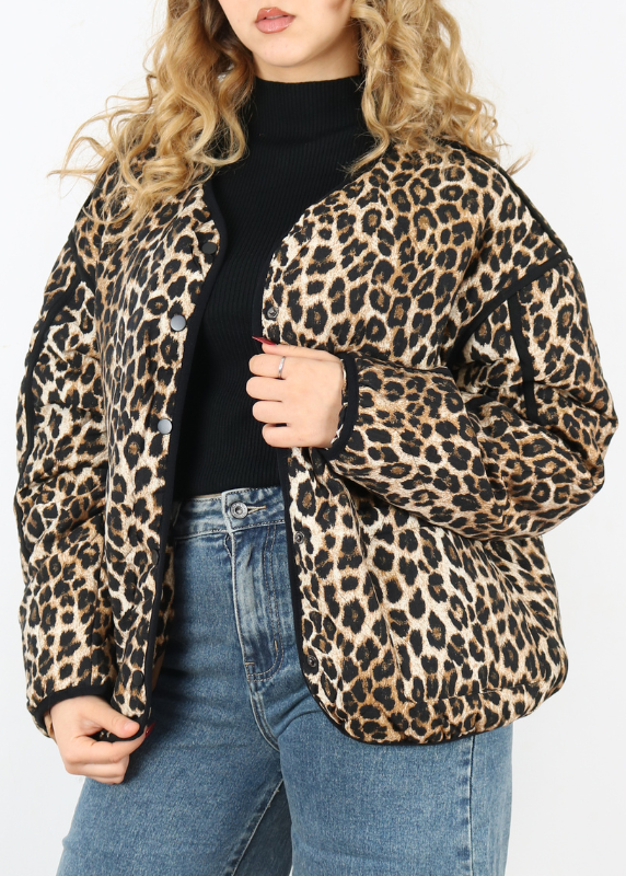 300553-leopard-vog (4)