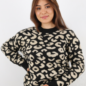 Pull Femme-Vog