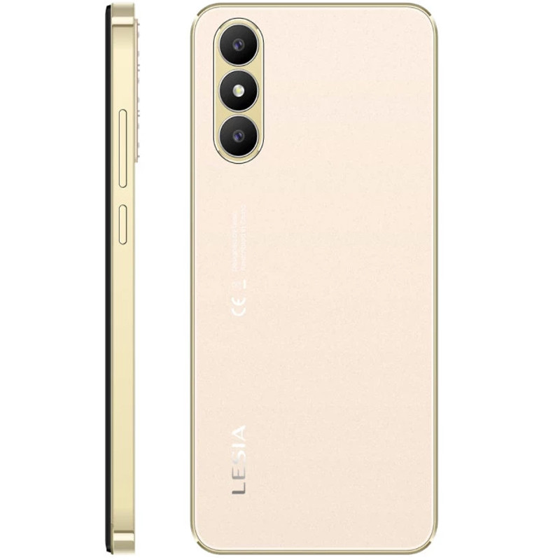 SMARTPHONE LESIA YOUNG 6 2GO 16GO GOLD