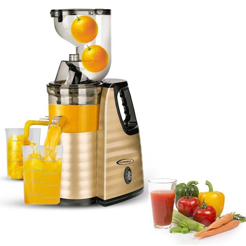 Extracteur De Jus FLORENCE HK-423 300W – Gold