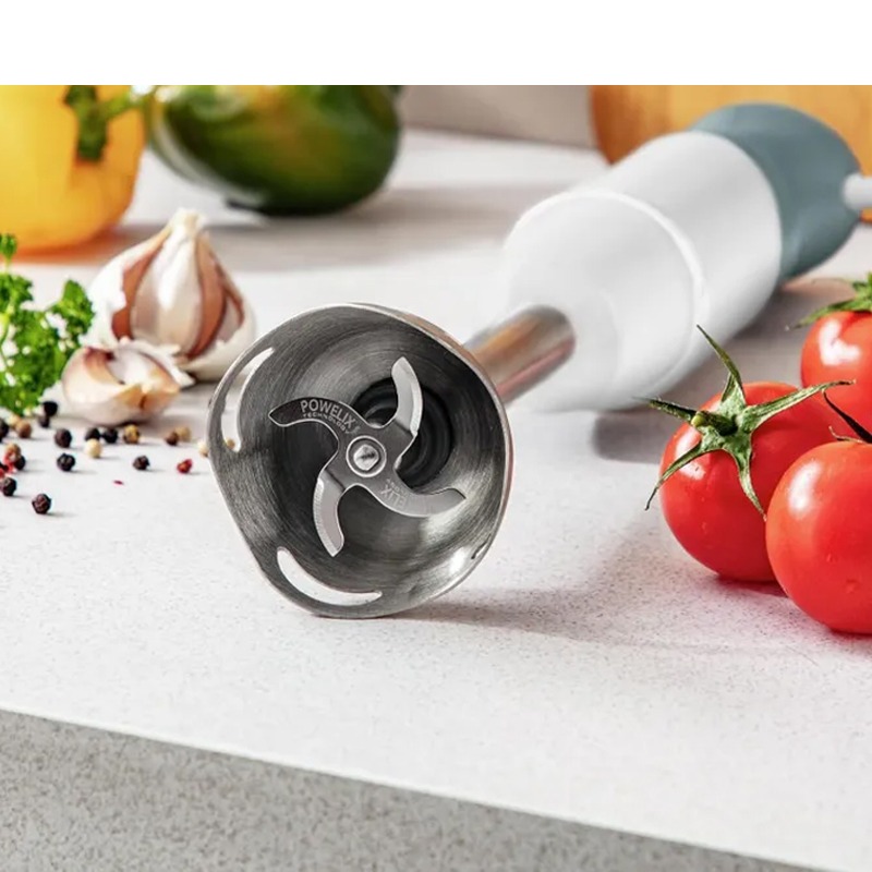 Mixeur Plongeant MOULINEX DD6551EG 1000W – Blanc